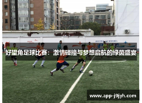 好望角足球比赛：激情碰撞与梦想启航的绿茵盛宴