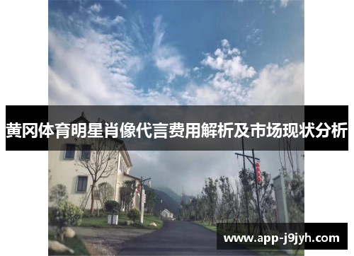 黄冈体育明星肖像代言费用解析及市场现状分析